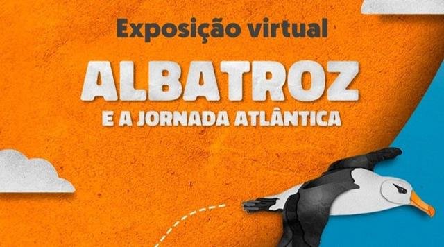  Exposição propõe imersão virtual na biologia e desafios de conservação dos albatrozes