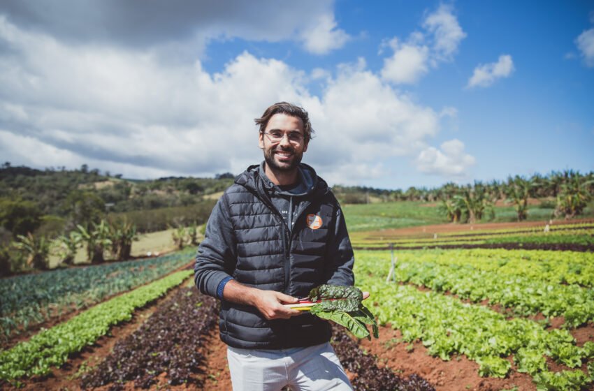 Qual a relação entre os alimentos orgânicos e o meio ambiente?