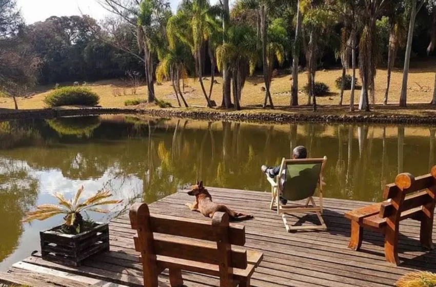 PARAÍSO DOS TUCANOS
