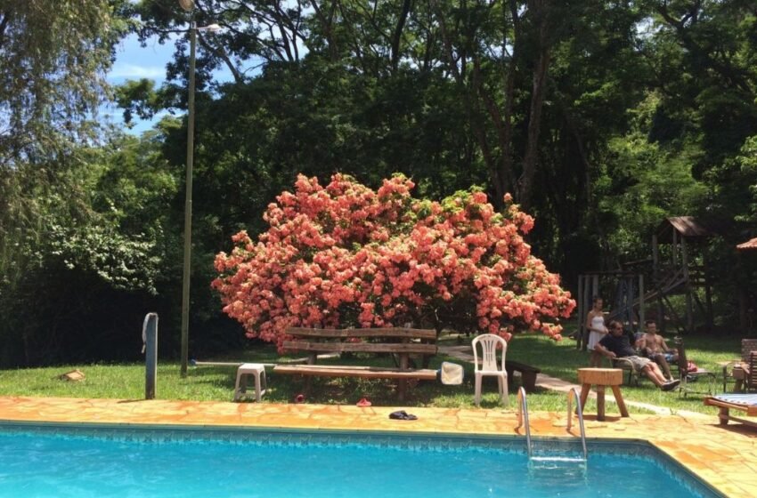  Fazenda São Bento em Dourado (SP)