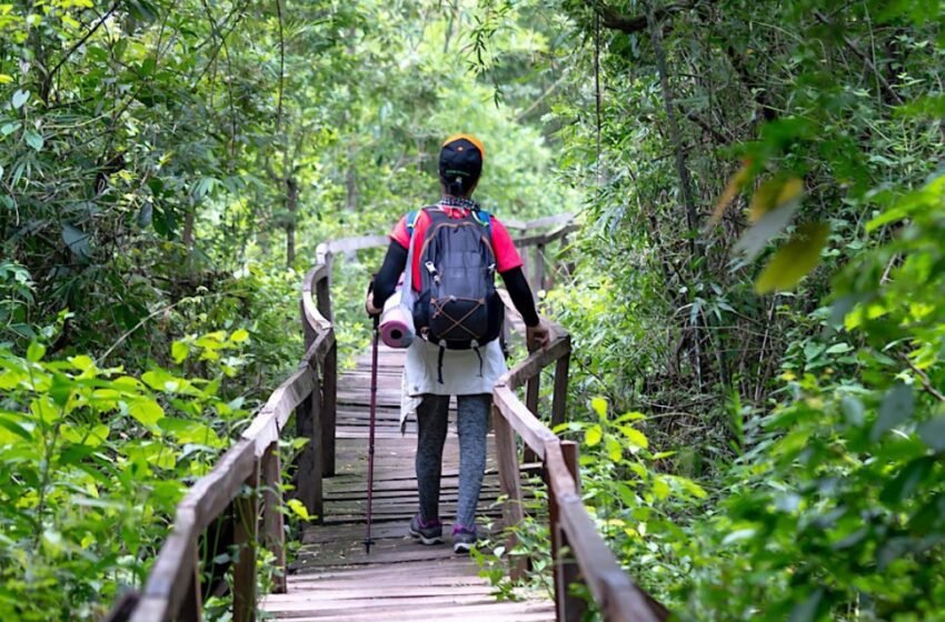 O papel do turismo na preservação do meio ambiente