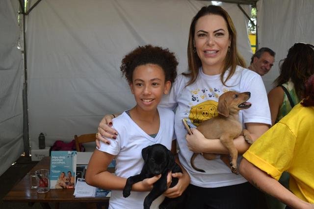  Feira de Adoção de Cães e Gatos: Uma Chance de Amor na Avenida Paulista