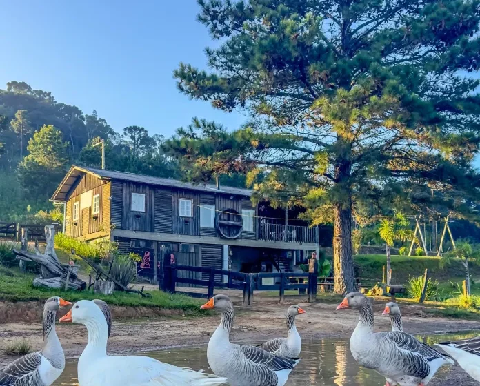 Fazenda Lagos – Turismo Rural