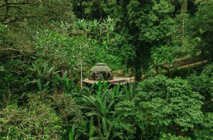 Domo Deva